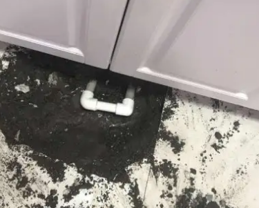 谯城查漏水哪家好